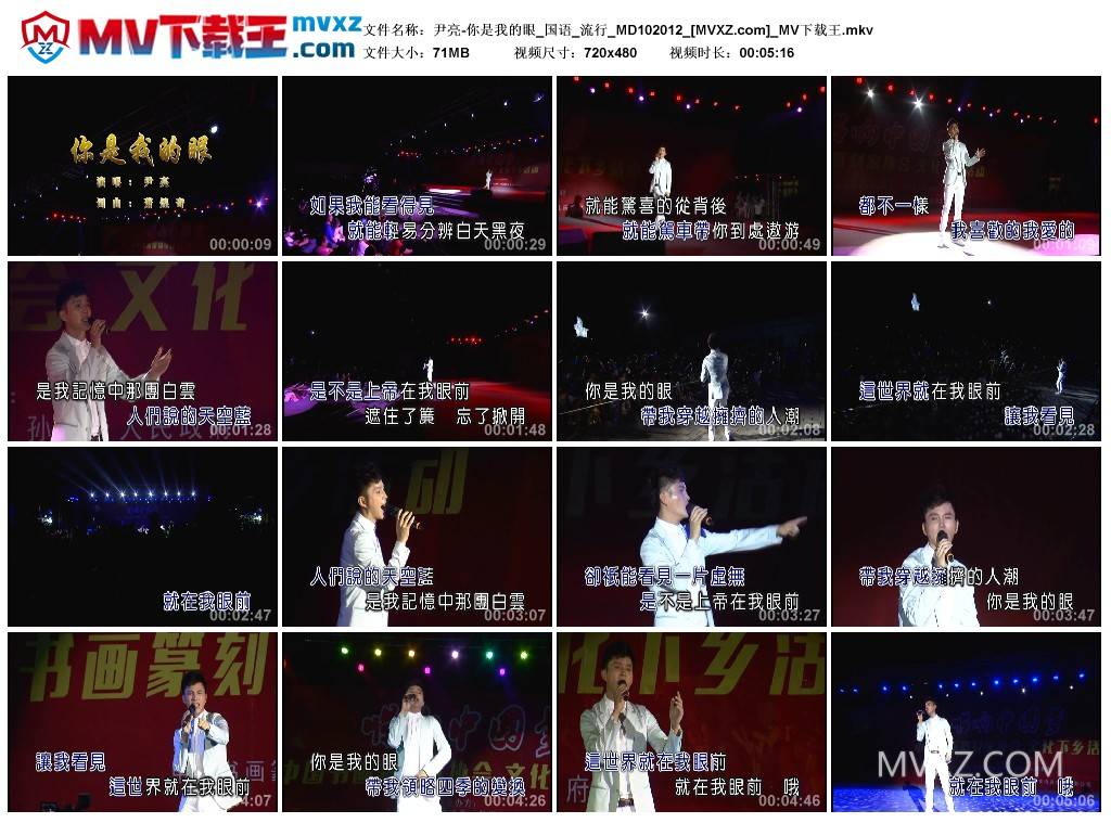 尹亮-你是我的眼_国语_流行_MD102012